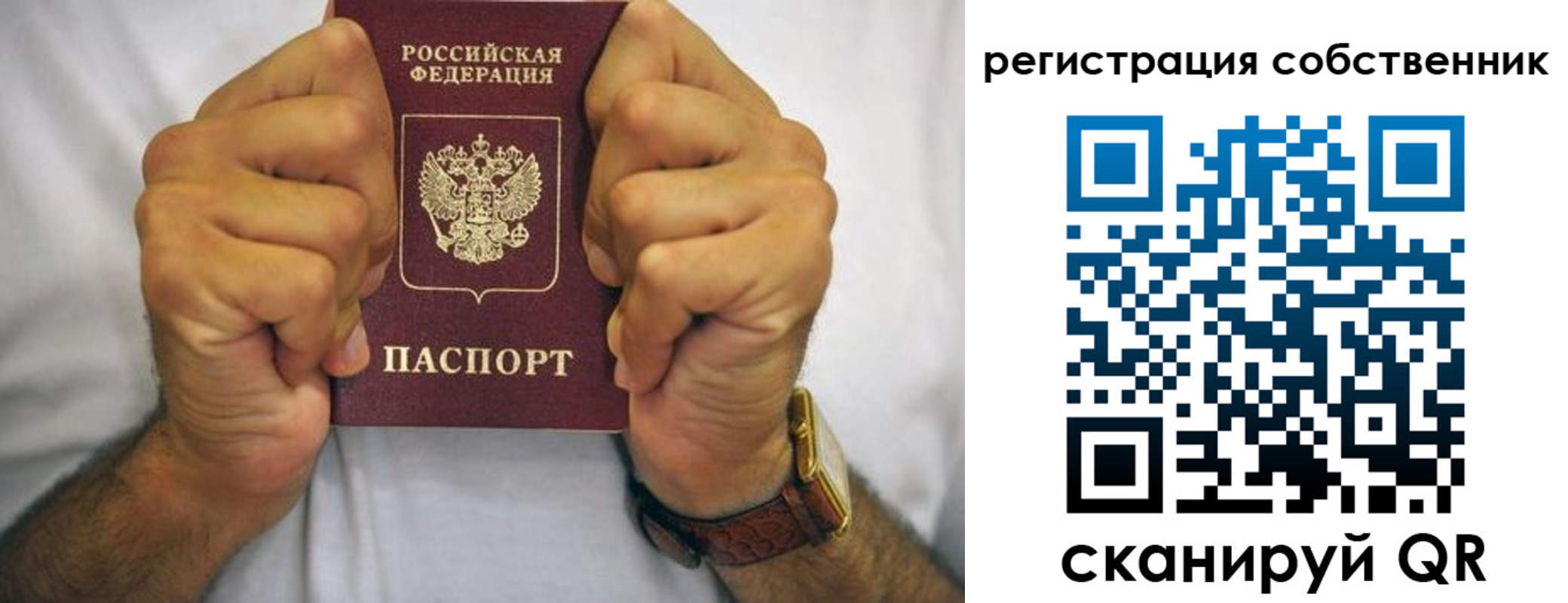 временная регистрация в Купино